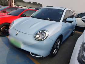 欧拉好猫 2021款 400km标准续航 雅典娜版 磷酸铁锂