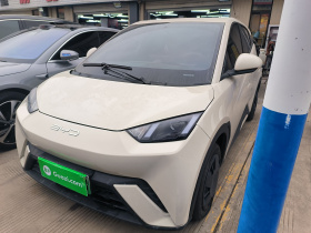 比亚迪 海鸥 2024款 荣耀版 305km 活力版