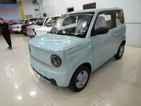 吉利银河 2024款 熊猫mini 200km 耐力熊