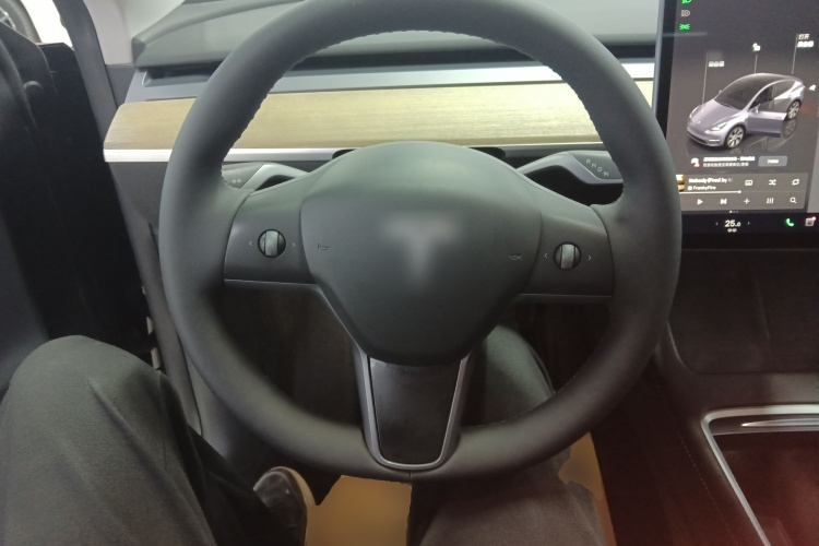 特斯拉 Model Y 2022款 后轮驱动版中控内饰13