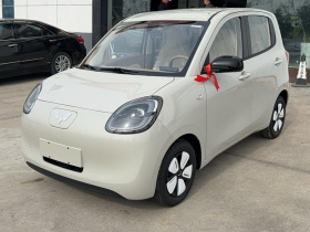 五菱汽车 宏光MINIEV 2025款 四门版 进阶款