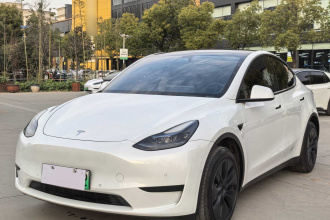 特斯拉 Model Y 2023款 后轮驱动版