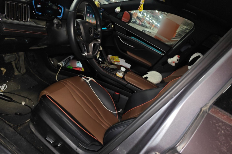 比亚迪 宋PLUS 2020款 1.5T 自动尊贵型局部细节19