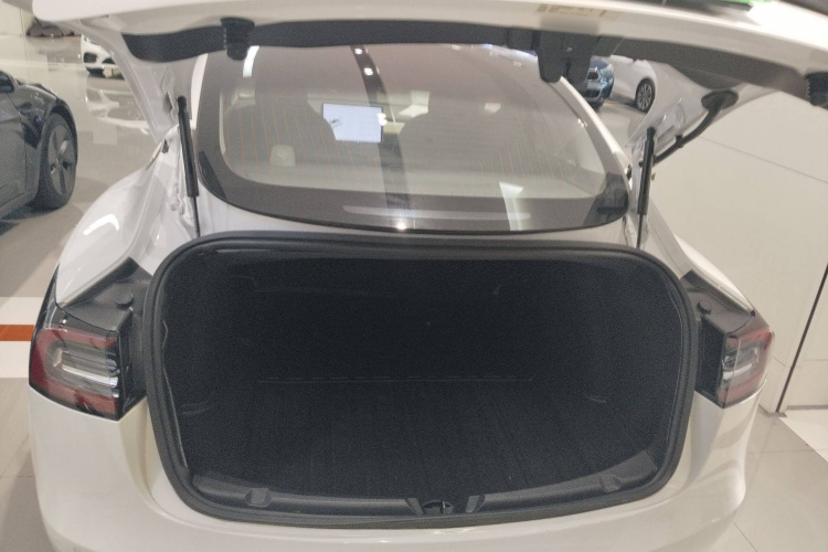 特斯拉 Model 3(进口) 2019款 长续航后驱版机舱底盘23