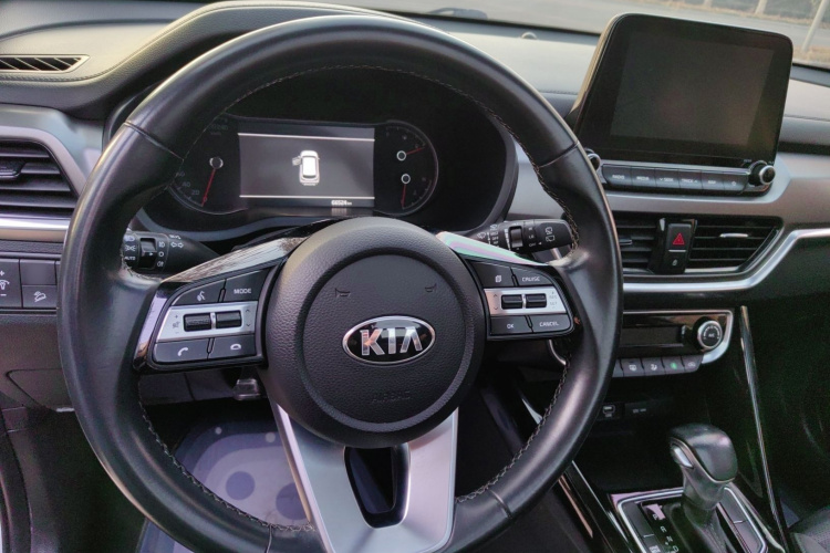 起亚 智跑 2019款 2.0L 自动智享豪华版局部细节13