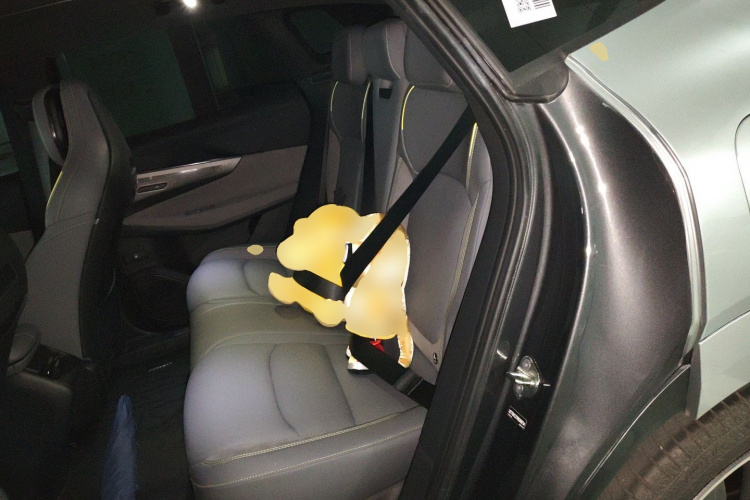 领克08 EM-P 2025款 120km 长续航Pro中控内饰21