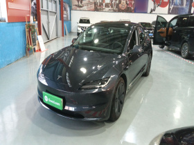 特斯拉 Model 3 2023款 后轮驱动版