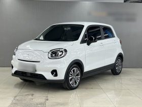 零跑汽车 零跑T03 2024款 310舒享版