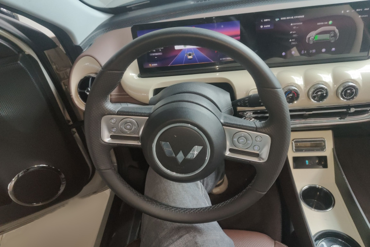 五菱汽车 五菱缤果 2023款 333km 灵犀互联款局部细节13