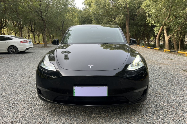 特斯拉 Model Y 2021款 Performance高性能全轮驱动版车身外观6001