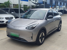 吉利汽车 星愿 2025款 310km 梦想版