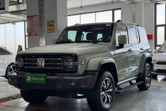 坦克300 2021款 城市版 2.0T 很有型