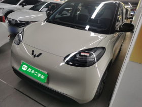 五菱汽车 五菱缤果 2023款 333km 灵犀互联+款