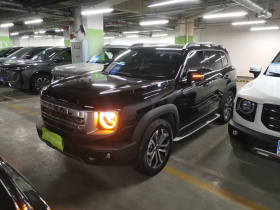 哈弗大狗 2024款 1.5T DCT边牧版