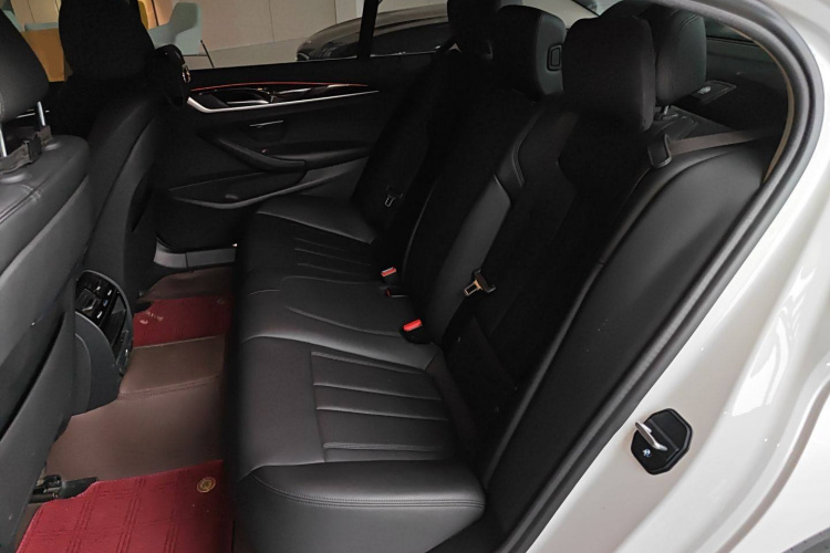 宝马5系 2019款 改款 525Li 豪华套装中控内饰7004