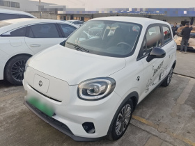 零跑汽车 零跑T03 2021款 400轻享版 磷酸铁锂