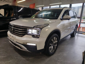 广汽传祺 传祺GS8 2017款 320T 两驱豪华智联版（七座）