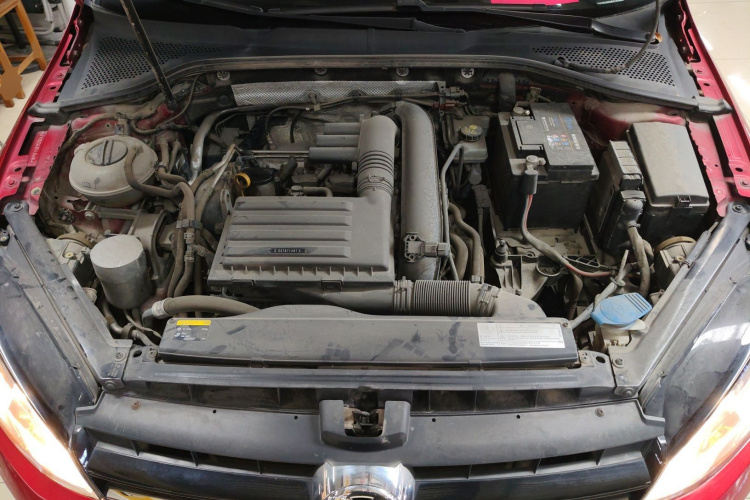 大众 高尔夫 2014款 1.4TSI 自动舒适型机舱底盘24