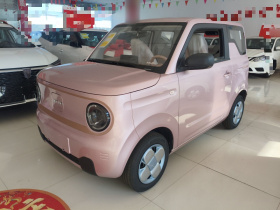 吉利银河 2024款 熊猫mini 200km 耐力熊