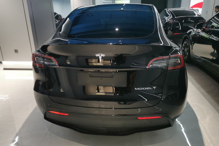 特斯拉 Model Y 2022款 改款 长续航全轮驱动版车身外观6004