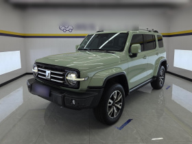 坦克300 2021款 城市版 2.0T 很有型