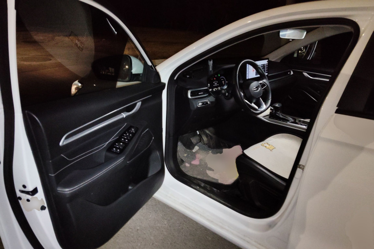 吉利汽车 帝豪 2023款 第4代冠军版 1.5L CVT豪华型中控内饰20