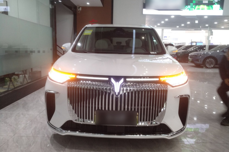 岚图汽车 岚图梦想家 2025款 PHEV 四驱尊贵鲲鹏版车身外观6001