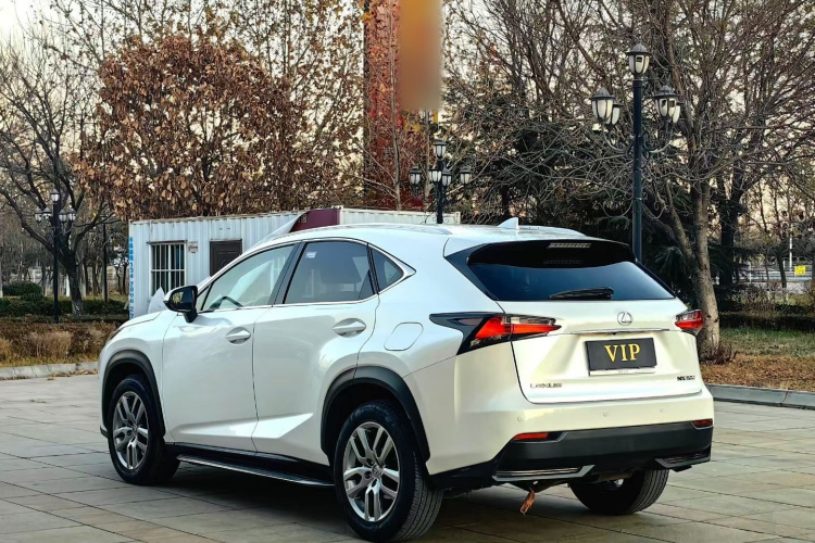 雷克萨斯NX 2016款 200 全驱 锋尚版车身外观6004