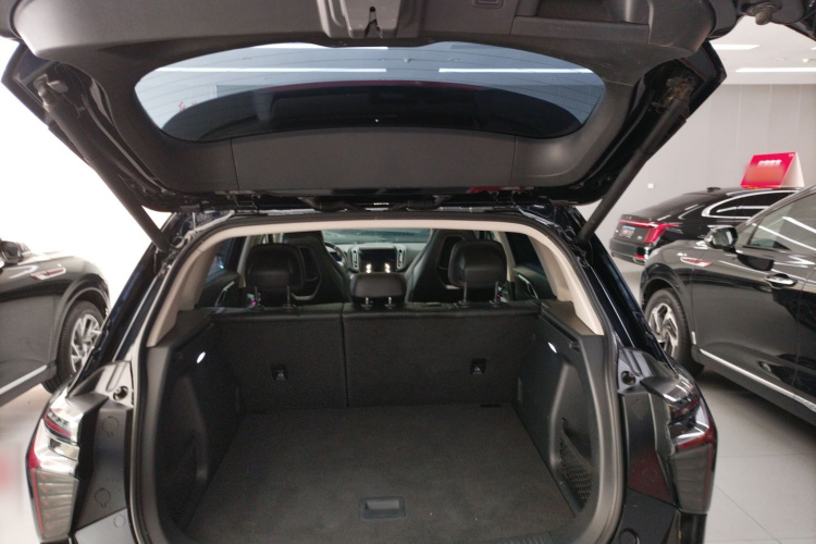 红旗HS3 PHEV 2024款 PHEV 115km 劲为版局部细节23