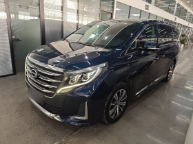 广汽传祺 传祺M8 2020款 领航款 390T 至尊版