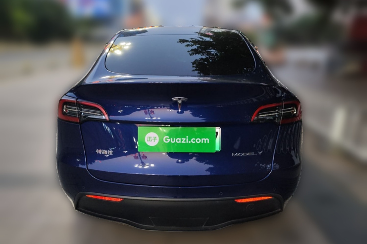 特斯拉 Model Y 2021款 长续航全轮驱动版车身外观6004