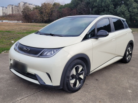 比亚迪 海豚 2024款 荣耀版 420km 时尚版