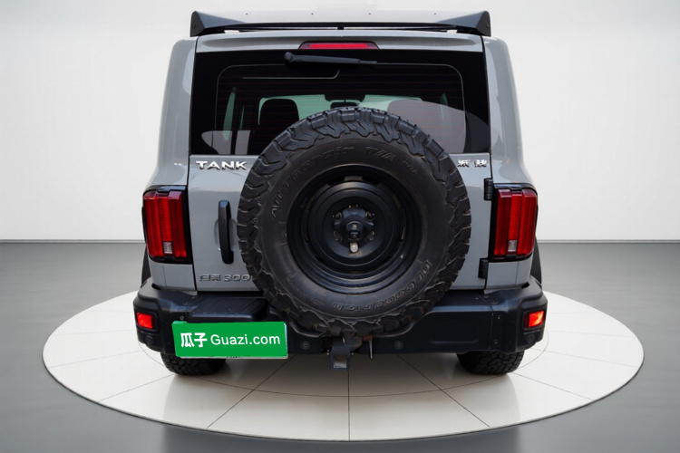 坦克300 2021款 2.0T 风林铁骑车身外观6