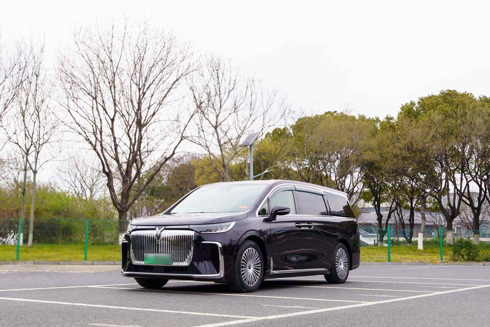 岚图汽车 岚图梦想家 2025款 PHEV 四驱尊贵鲲鹏版(1)