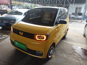 五菱汽车 宏光MINIEV 2021款 马卡龙时尚款 三元锂