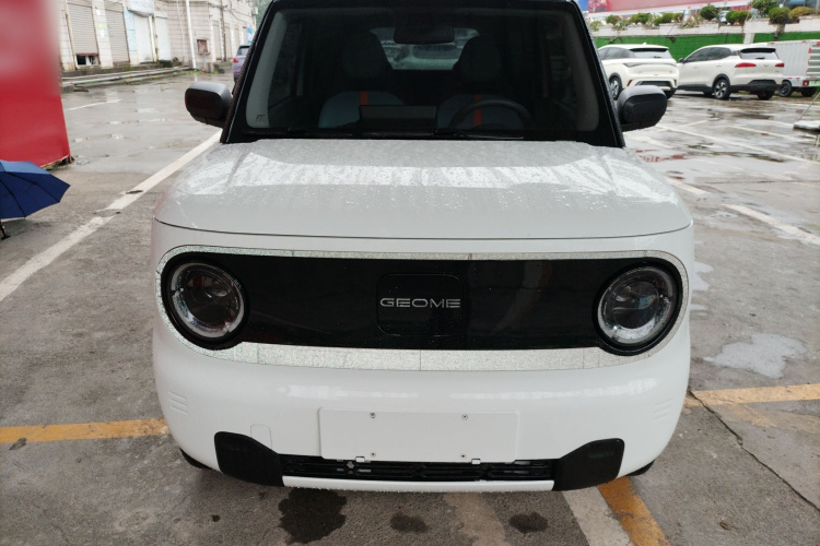 吉利银河 2023款 熊猫mini 120km 超萌熊车身外观2