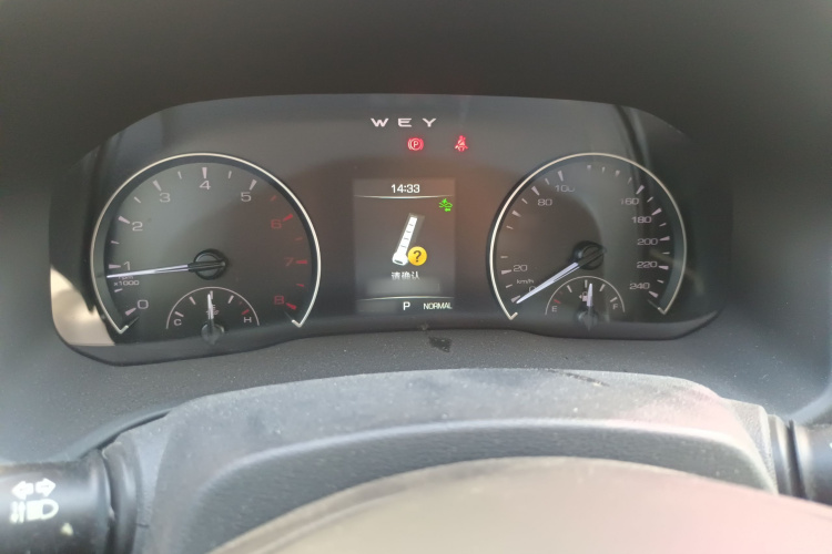 魏牌 VV5 2020款 1.5T 两驱颜先锋局部细节14