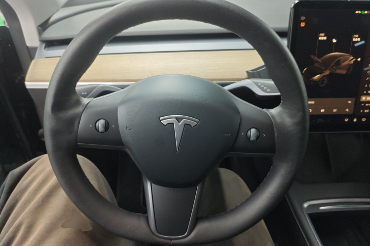 特斯拉 Model Y 2021款 长续航全轮驱动版 3D7中控内饰13