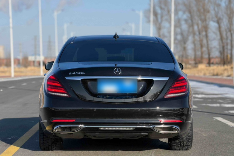 奔驰S级 2019款 S 350 L 豪华型 臻藏版车身外观6006