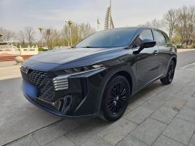 启辰大V 2022款 260T 黑马版·爱豆