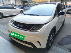 比亚迪 海豚 2023款 420km 时尚版