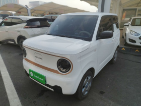 吉利银河 2024款 熊猫mini 200km 耐力熊