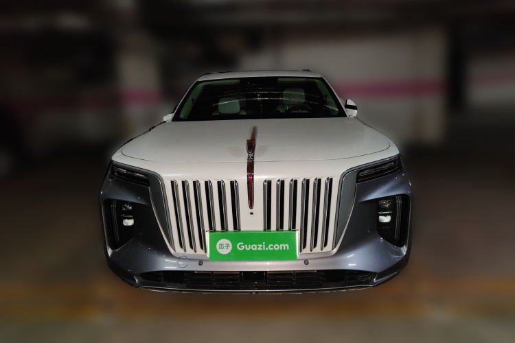 红旗E-HS9 2021款 510km 旗领版 四座车身外观6001