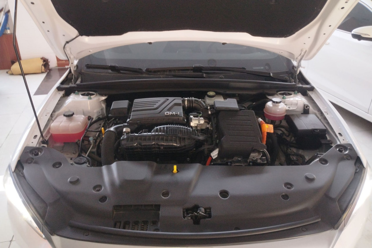 比亚迪 秦PLUS 2024款 荣耀版 DM-i 55KM领先型局部细节24