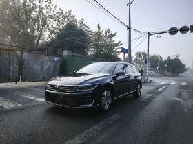 大众 蔚揽新能源 2019款 GTE