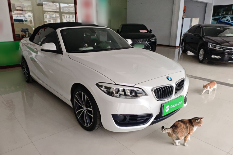 宝马2系(进口) 2018款 220i 敞篷轿跑车 运动设计套装车身外观3