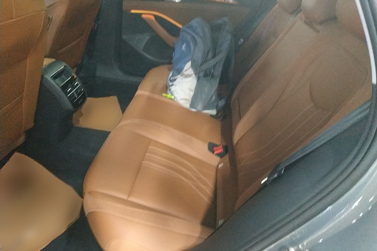 大众 迈腾 2024款  300TSI DSG尊享版显眼包中控内饰21