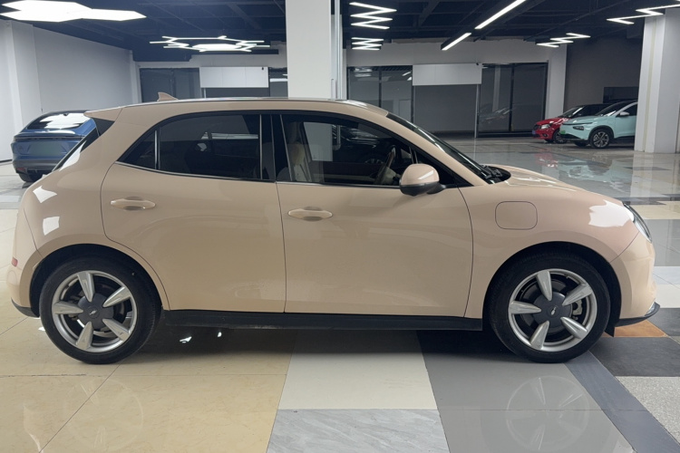 欧拉好猫 2021款 400km标准续航 维纳斯版 三元锂车身外观6003