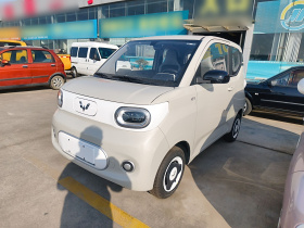 五菱汽车 宏光MINIEV 2024款 第三代 215km 青春版