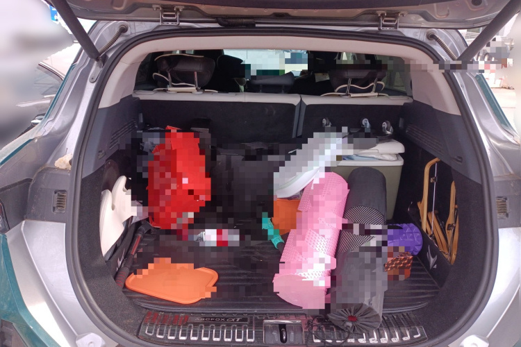 ARCFOX极狐 极狐 阿尔法T(ARCFOX αT) 2021款 653S 160kW局部细节23